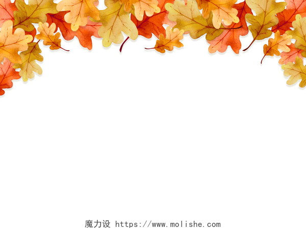 白色背景上秋天黄色的枫叶秋天的落叶框架在白色的背景上被孤立。平面布局，顶视图，复制空间.